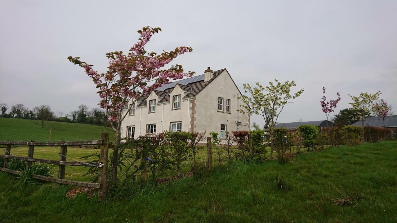 Laraghson House Guest House Enniskillen Exterior photo